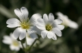 Bilder